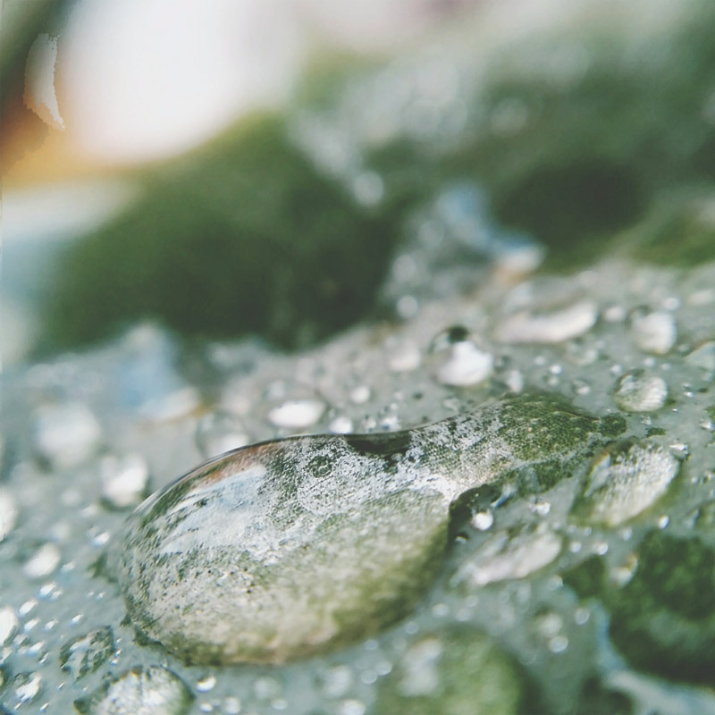 agua-es-vida